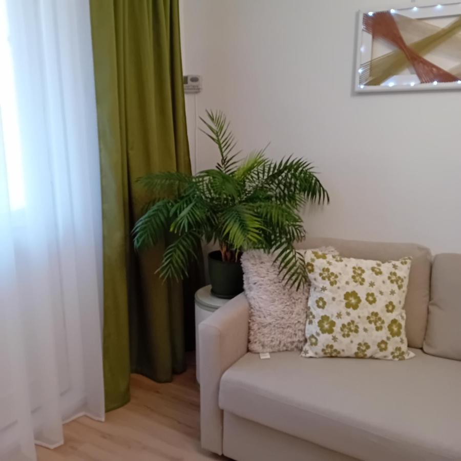 Apartament Harmonyhouse Braszów Zewnętrze zdjęcie
